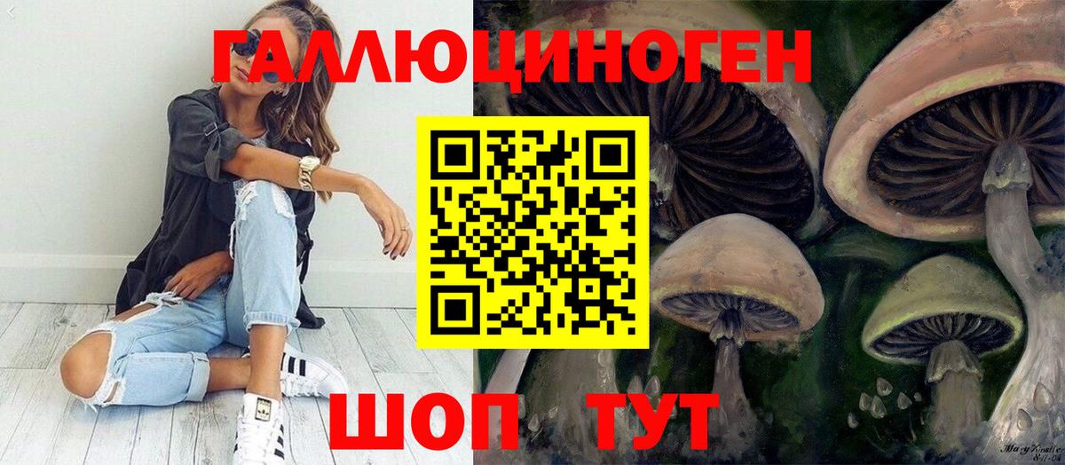 Псилоцибиновые грибы Psilocybe Морозовск