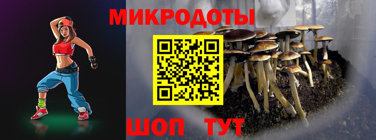 Галлюциногенные грибы MAGIC MUSHROOMS  Вход с VPN  Морозовск  Галлюциногенные грибы Psilocybine cubensis 